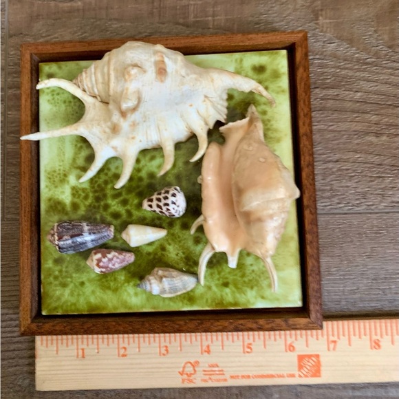 Framed Oceanside Wall Decor Seashell - Picture 4 of 10